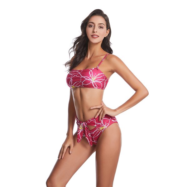 New Split Swimsuit Printed Sexy Women's Bikini