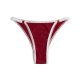 Multi-Color Ribbed Thong with Lace Trim & Heart Hardware: Breathable Teen Underwear