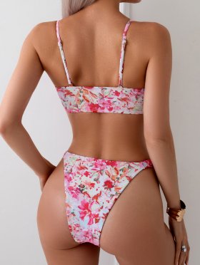 New Split Swimsuit Women's Printed Sexy Bikini Set