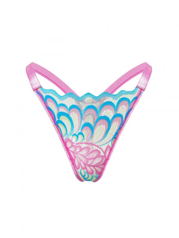 French thong sexy lace embroidery transparent hot low waist mesh underwear for women