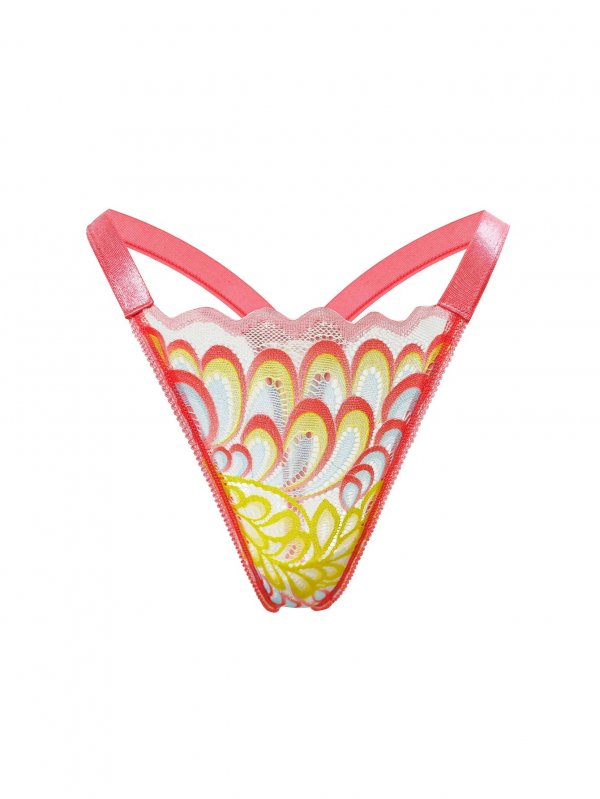 French thong sexy lace embroidery transparent hot low waist mesh underwear for women