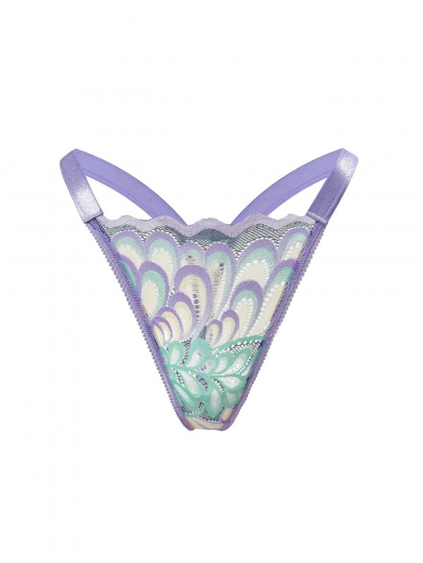 French thong sexy lace embroidery transparent hot low waist mesh underwear for women