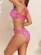 2026 new split swimsuit leopard print minimalist bikini with chest cushion women's sexy beach swimsuit women