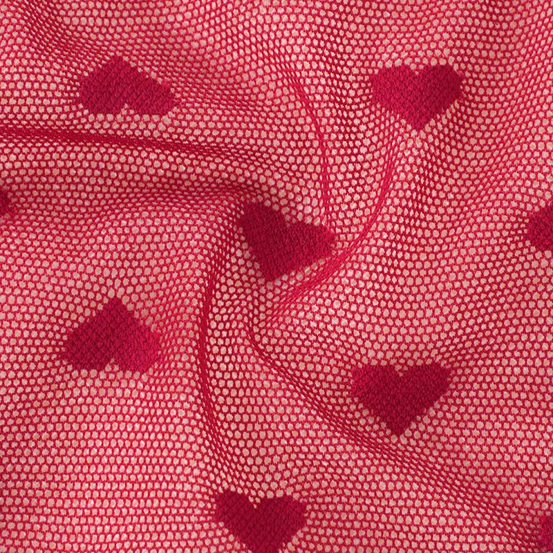 (image for) Women Low Rise Heart Flocked Semi-Sheer Mesh Cheeky Brief Panties Seamless Breathable Butt Lifting Sexy Sheer Everyday Intimates