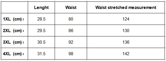 New sexy lace lace sexy plus size thong